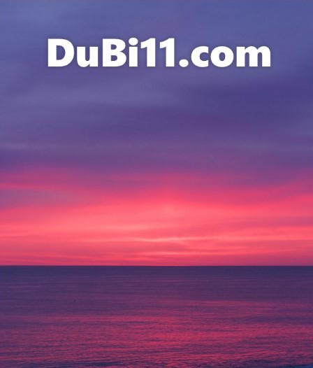 DuBi11.com