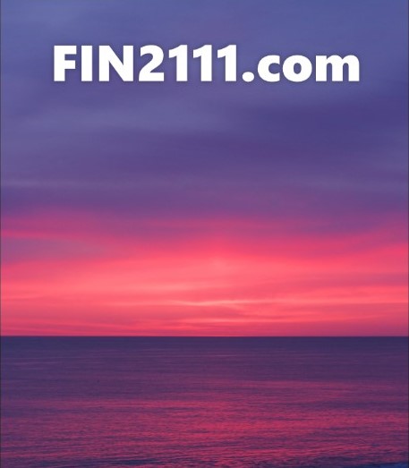 FIN2111.com