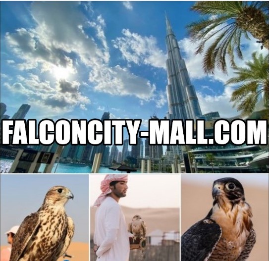 FalconCity-Mall.com