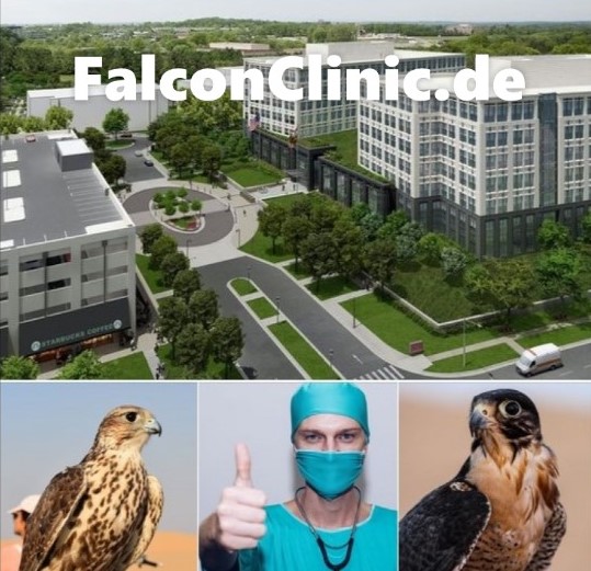 FalconClinic.de