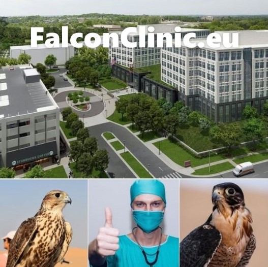 FalconClinic.eu