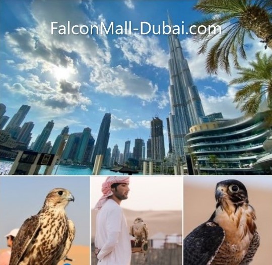 FalconMall-Dubai.com
